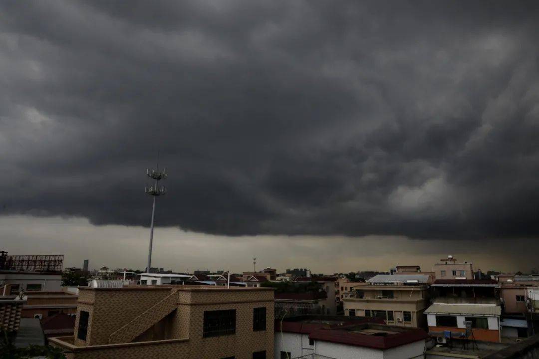 暴雨 雷电 大风已经到货(内含台风的地理知识)_市县