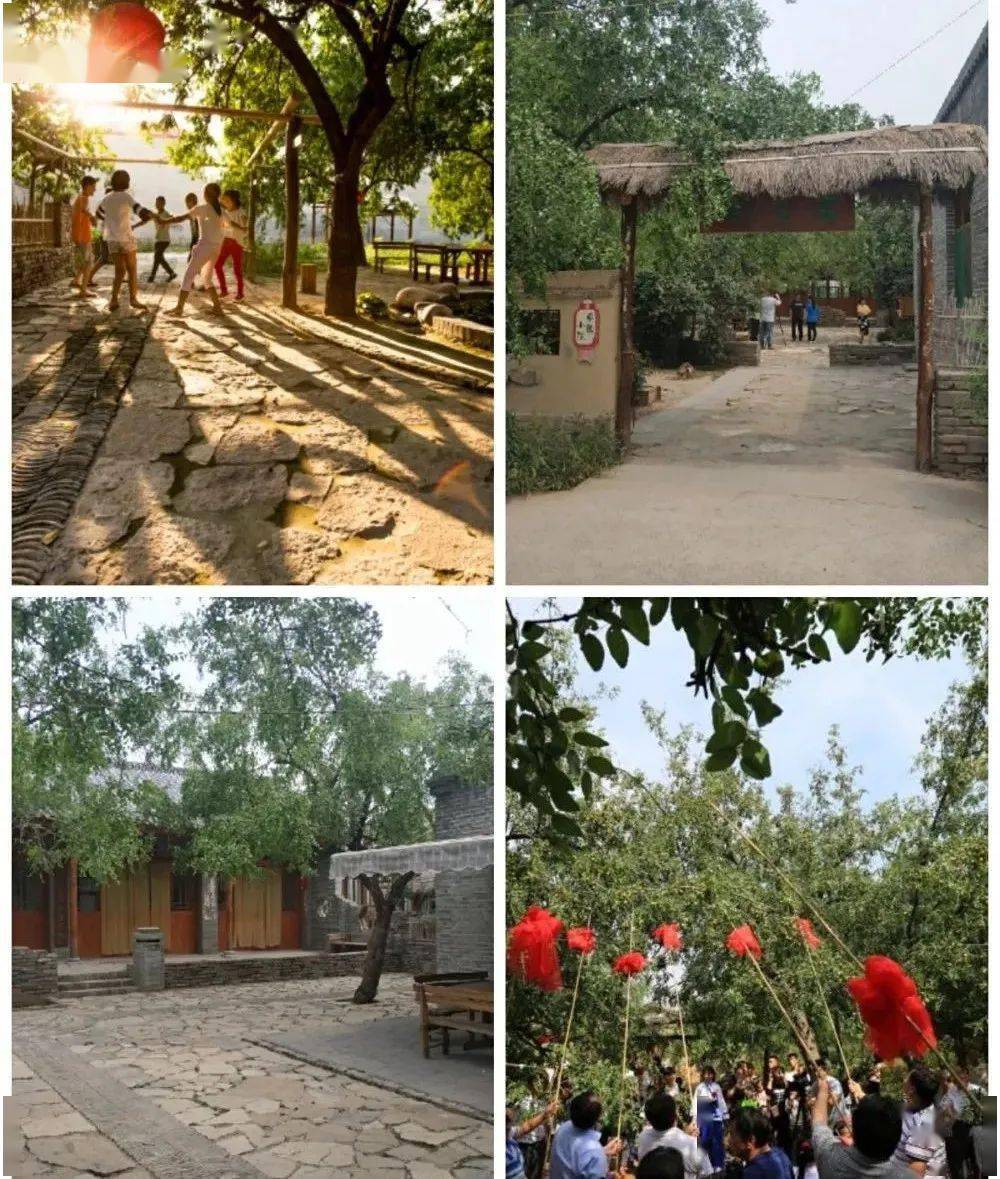 徐光照"国画小院"北张庄栗凤娥"手工创富小院"东张策后辛志强"绿色