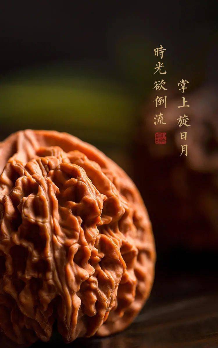 汀青臻艺·文玩核桃_平谷