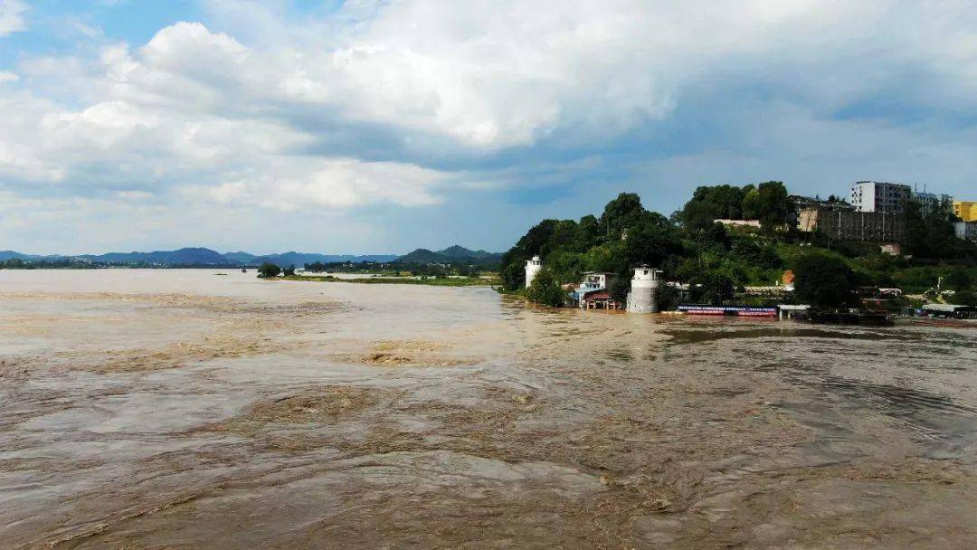 入汛以来最大洪峰顺利过境南充主城区大水真冲了龙王庙