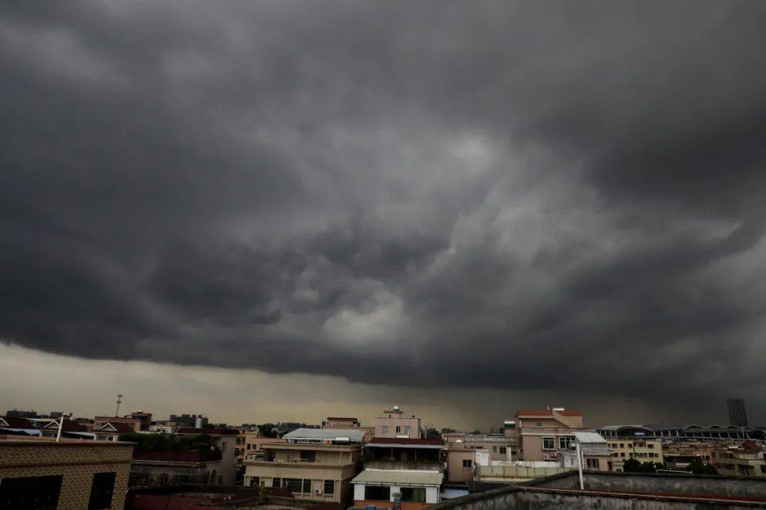暴雨 雷电 大风已经到货(内含台风的地理知识)_市县