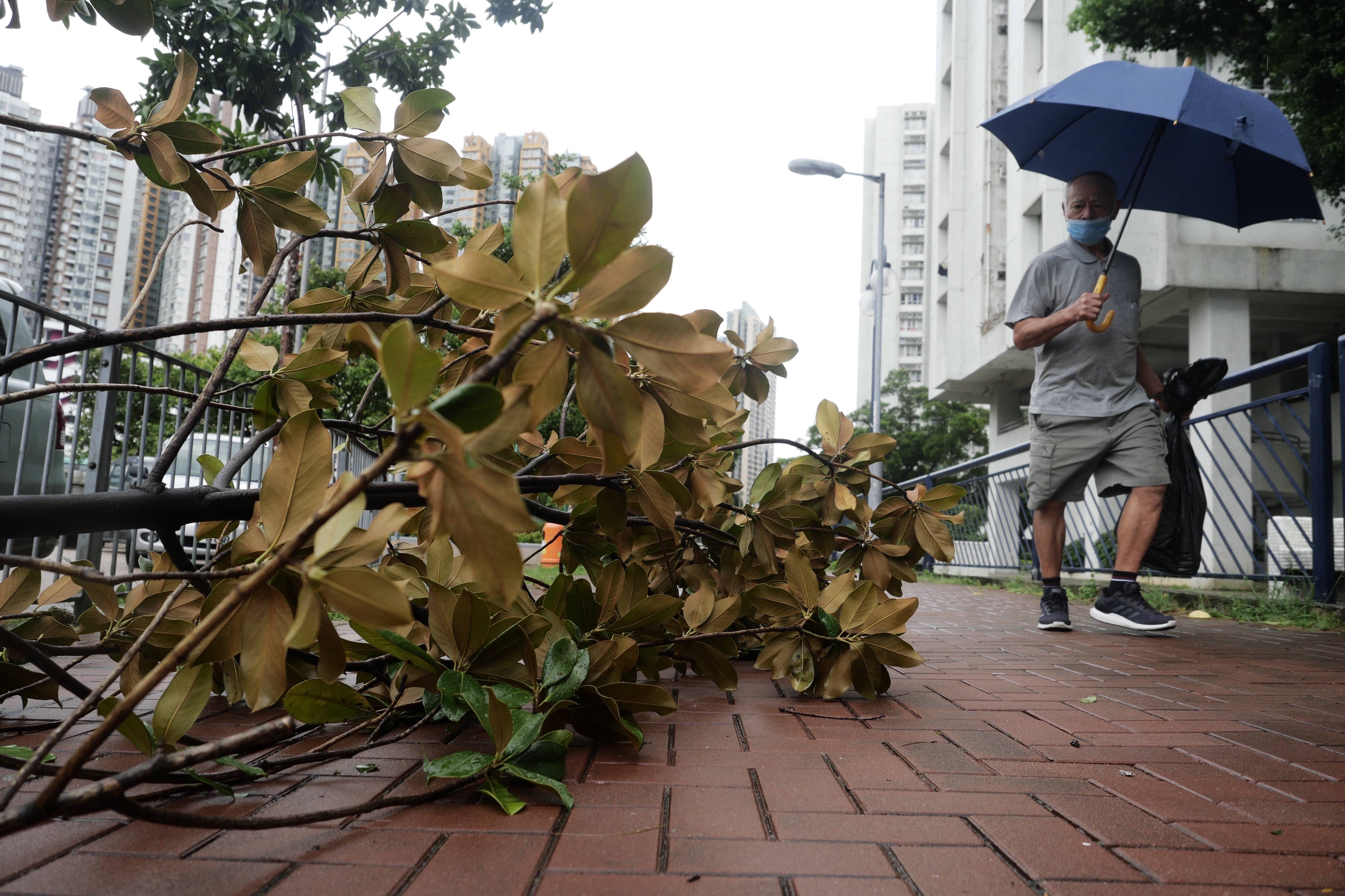 香港狮子山台风图片