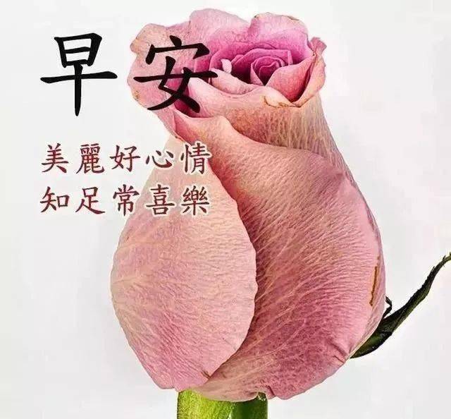 清晨温暖问候早上好图片温馨祝福语录特别漂亮的早晨好图片暖心问候