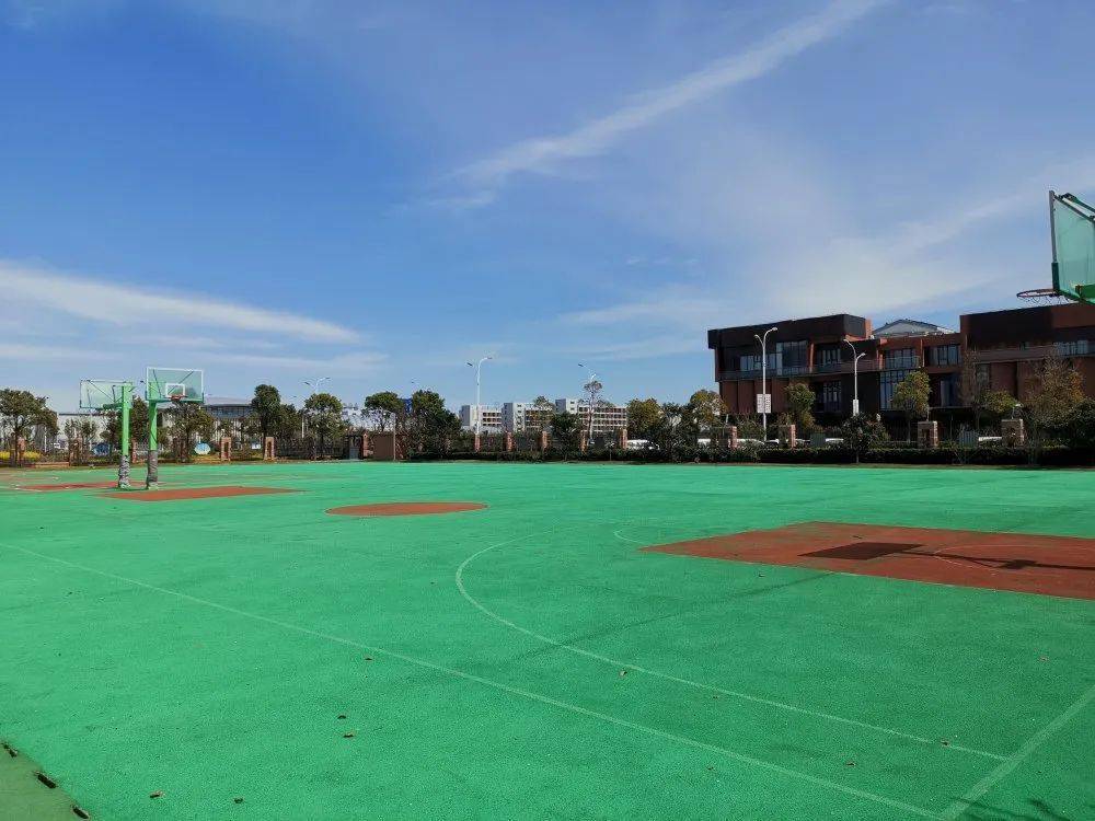 上海竞体中心与裕安小学教育委托签约_崇明