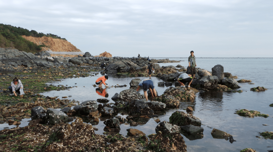 吹海风赶小海夏秋荣成海趣足