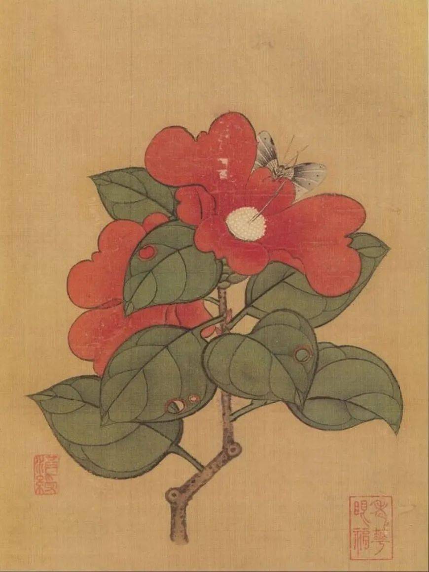 陈洪绶《花鸟草虫册》,真好看!