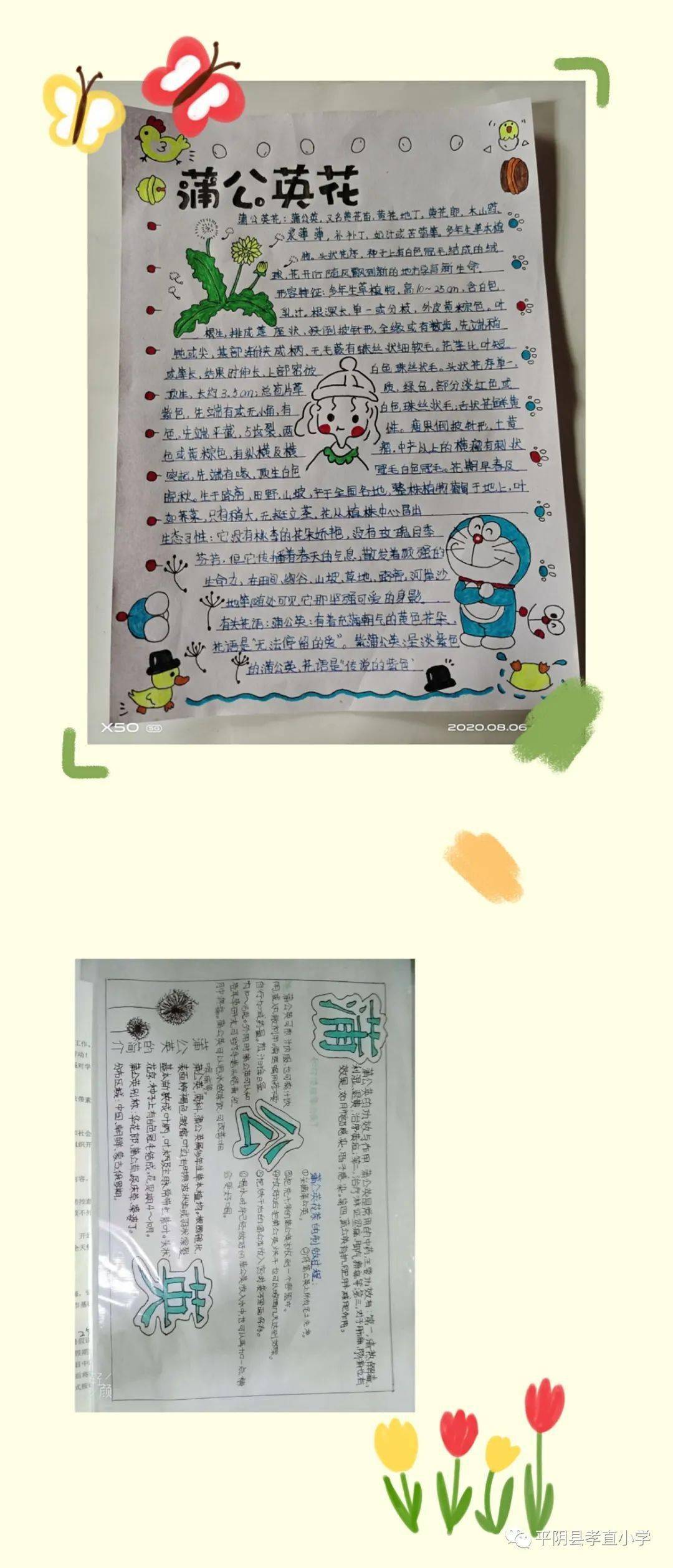 "蒲公英花茶的制作""我和野菜有个约会","预防近视小能手"等主题,他们