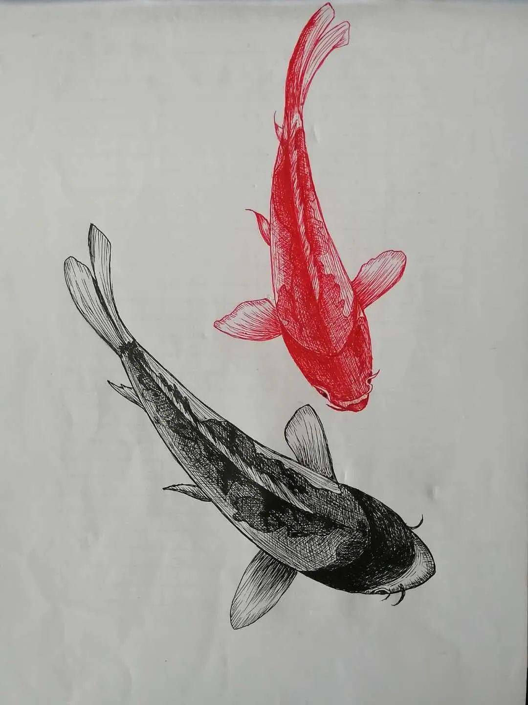 周日作业榜 | 绘栈手绘社群—线描社群