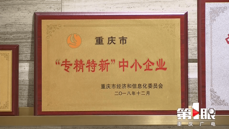 重慶新聞聯播聚焦兩江新區