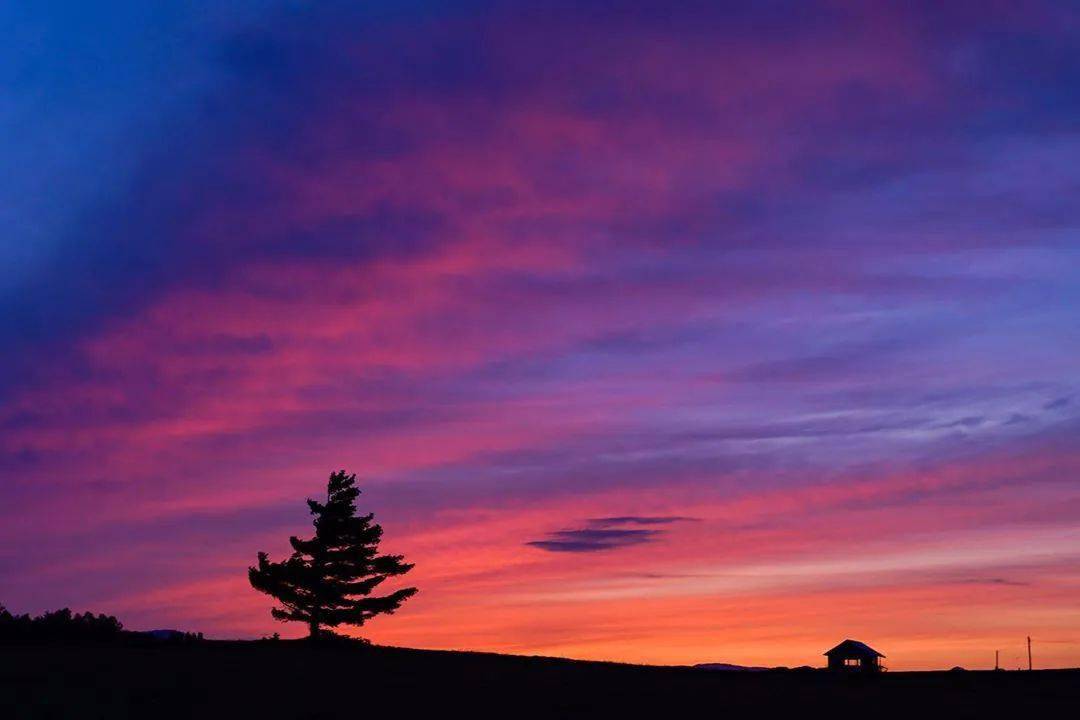 日斜归路晚霞明