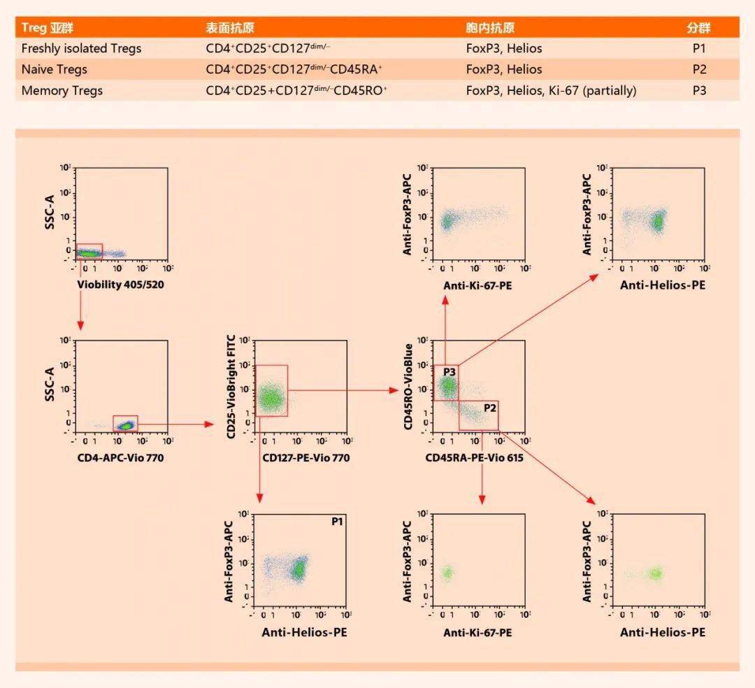 使用cd4 cd25 cd127dim/- regulatory t cell isolation kit ii