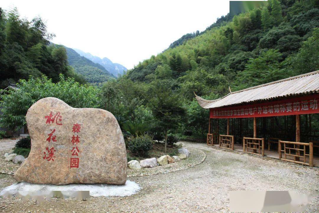 原始峡谷,小潭清澈……宁海这片隐在深山的桃花源,约吗?_手机搜狐网