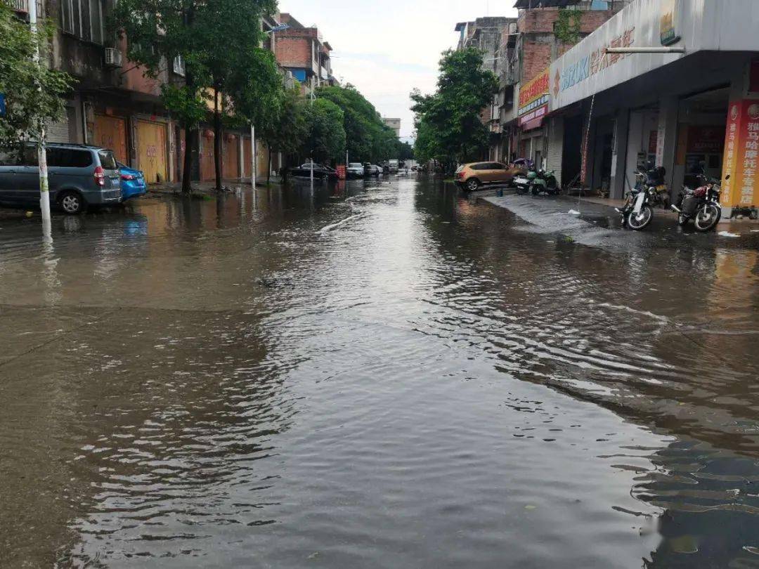 現場直擊大雨之下賓陽賓州鎮這個社區部分街道積水嚴重