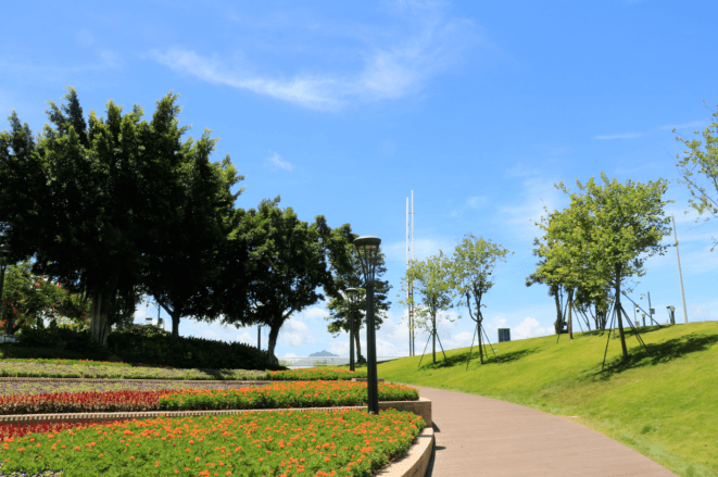 浪漫白色灯塔,无敌海景……8月30日防波堤公园徒步采风