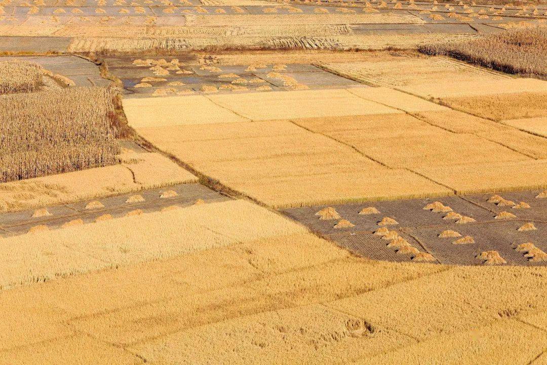 【映像四平76】多彩沃野,大美田园