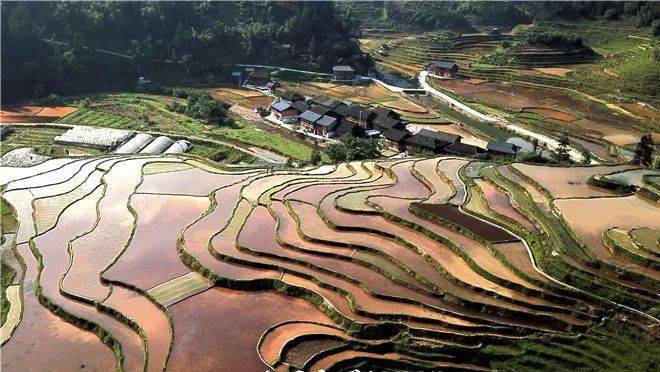 榕江县八开镇摆奶村脱贫又脱单贫困村喜上加喜