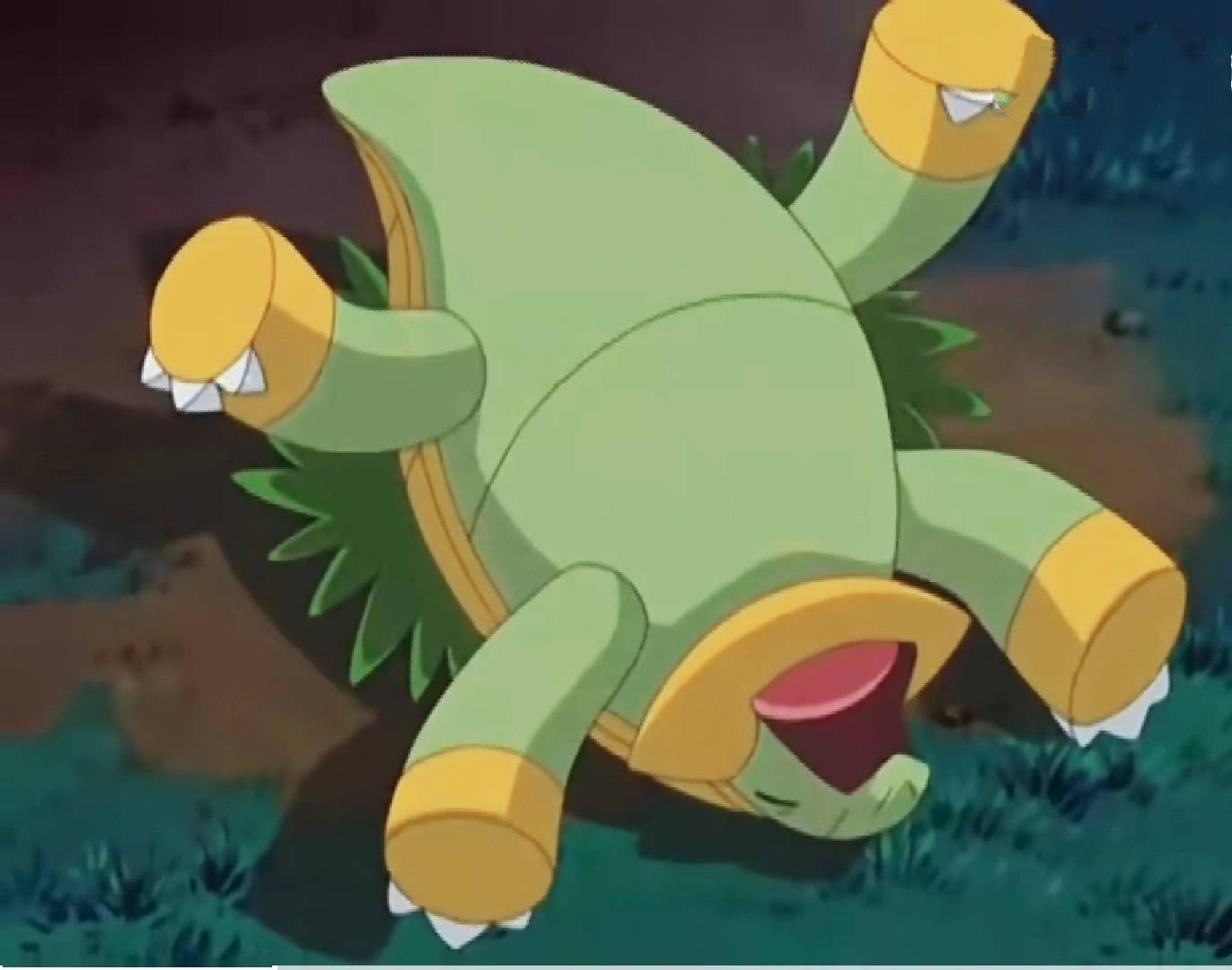 树苗龟是最后悔进化的神奇宝贝,其它的小精灵都是越进化越强,而树苗龟