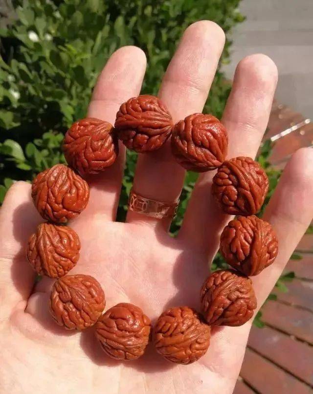 龙纹桃核要是玩得6一天一个色