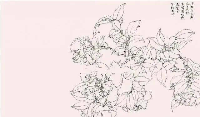 【国画教程】没骨茶花画法示范:《丹茶花》