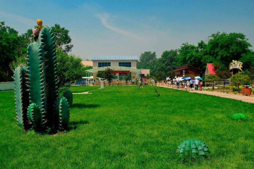 景区内的森林覆盖率高达65%,这也是北方唯一的海洋森林保护区的独特