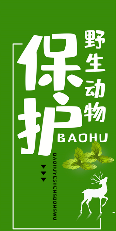 小科普加强动物保护创造健康生活