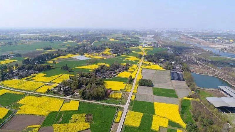 大邑县董场镇祥和村