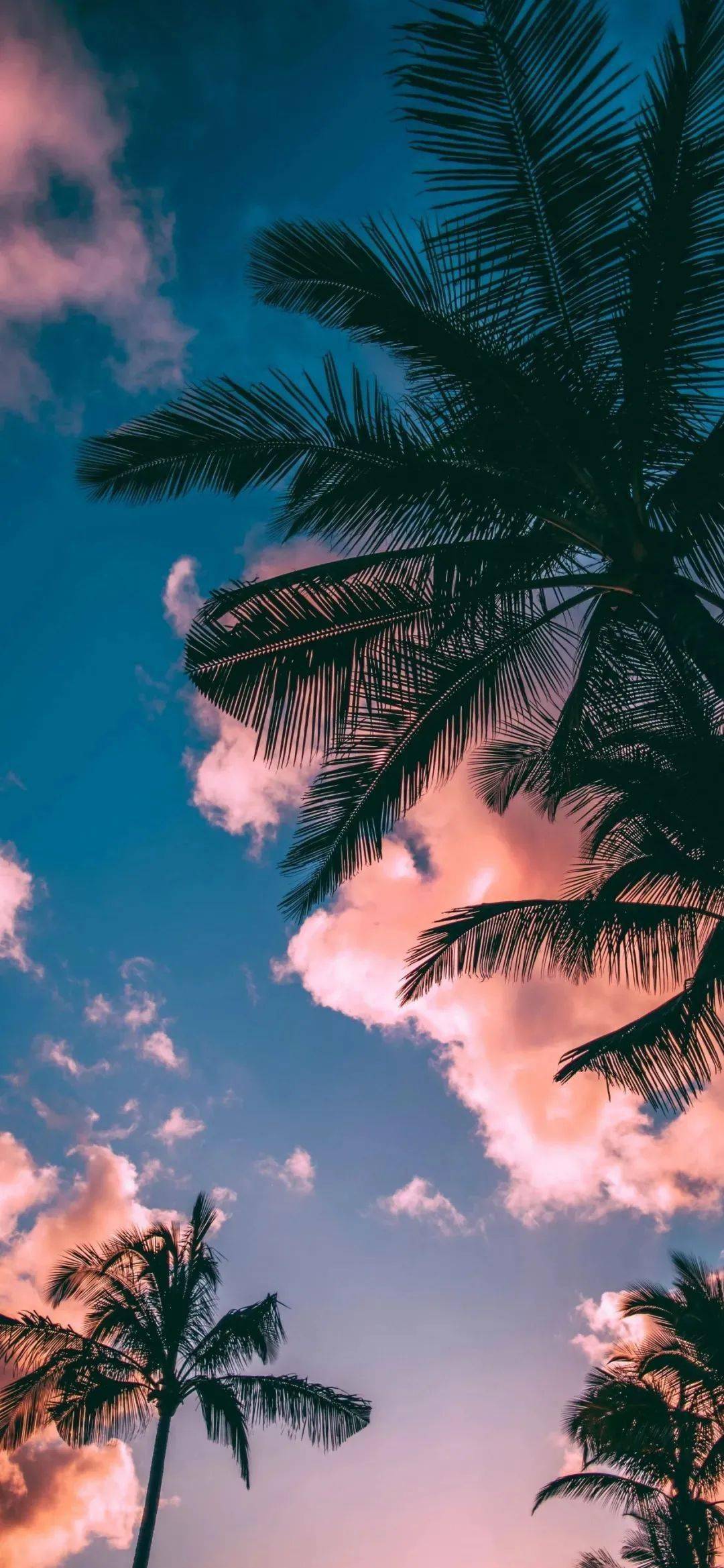 个性超赞的全面屏壁纸_手机搜狐网