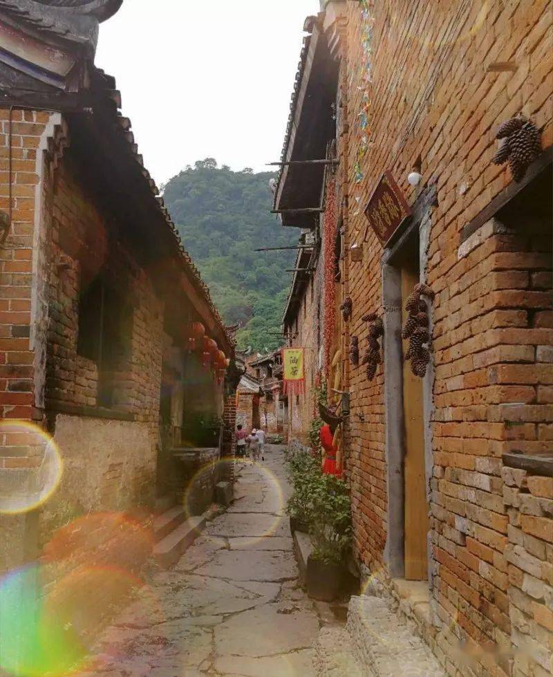 贺州市富川瑶族自治县朝东镇岔山村有着什么样的实力和优势呢?