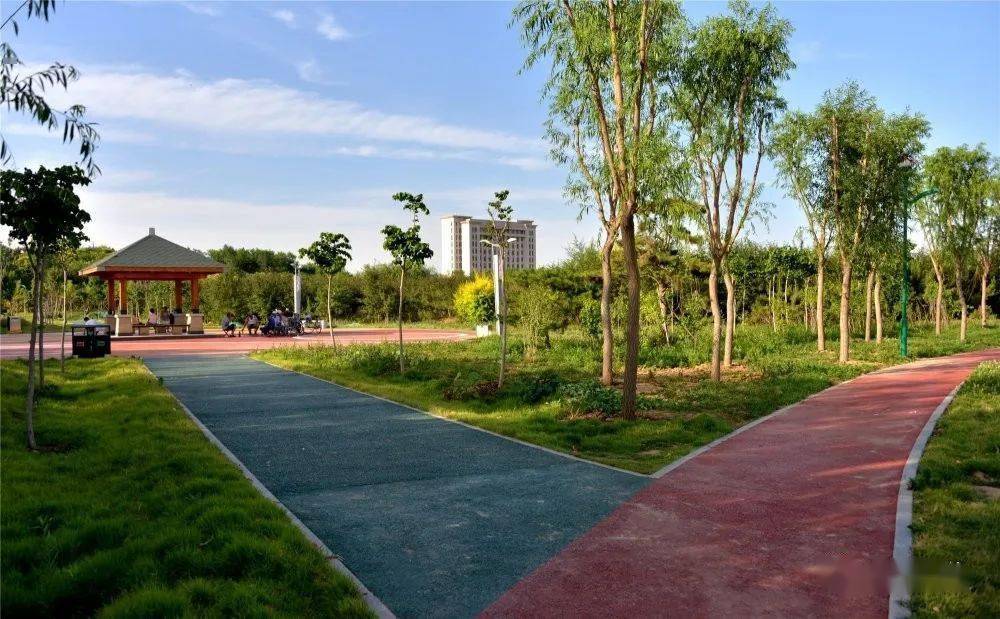 最新阳谷谷山公园已经对外开放了