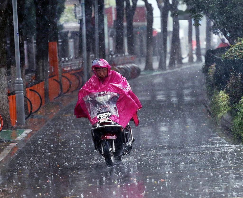 风雨扫荡图片