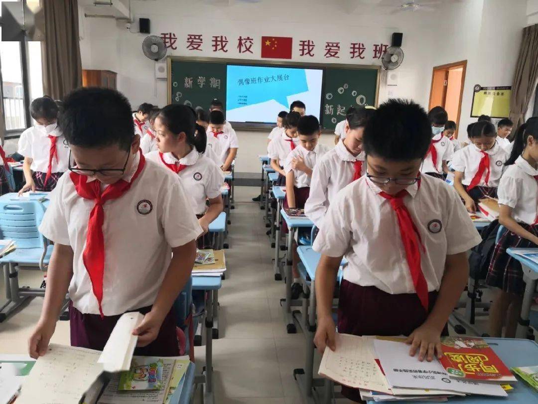 博凯小学入学要求图片