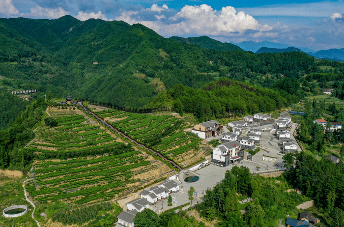 百县千村行 | 万源市石塘镇瓦子坪村