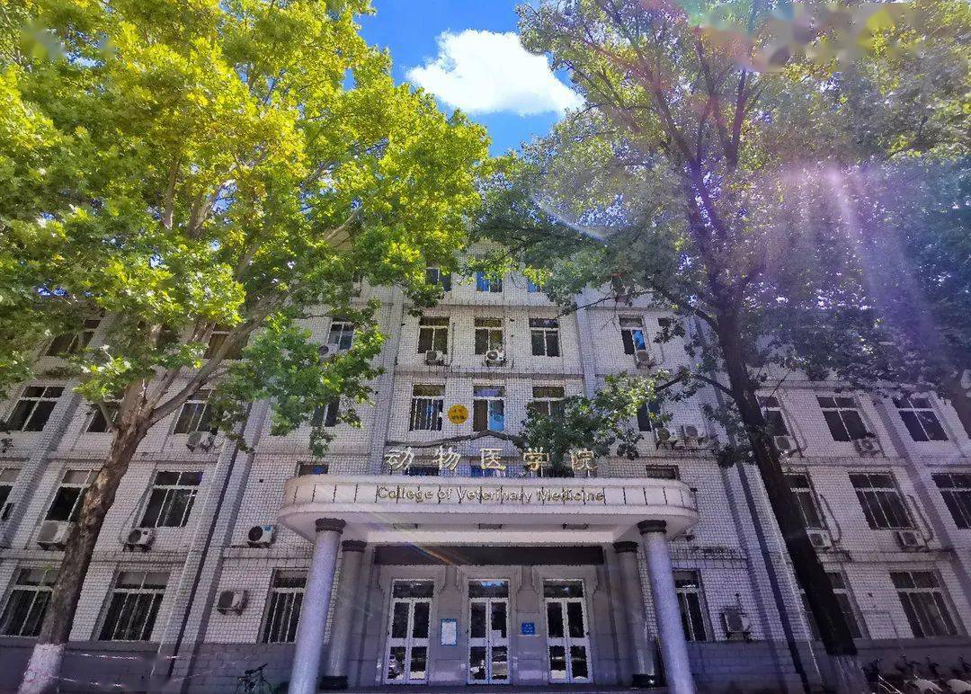 来西农陪你看浪漫的云彩