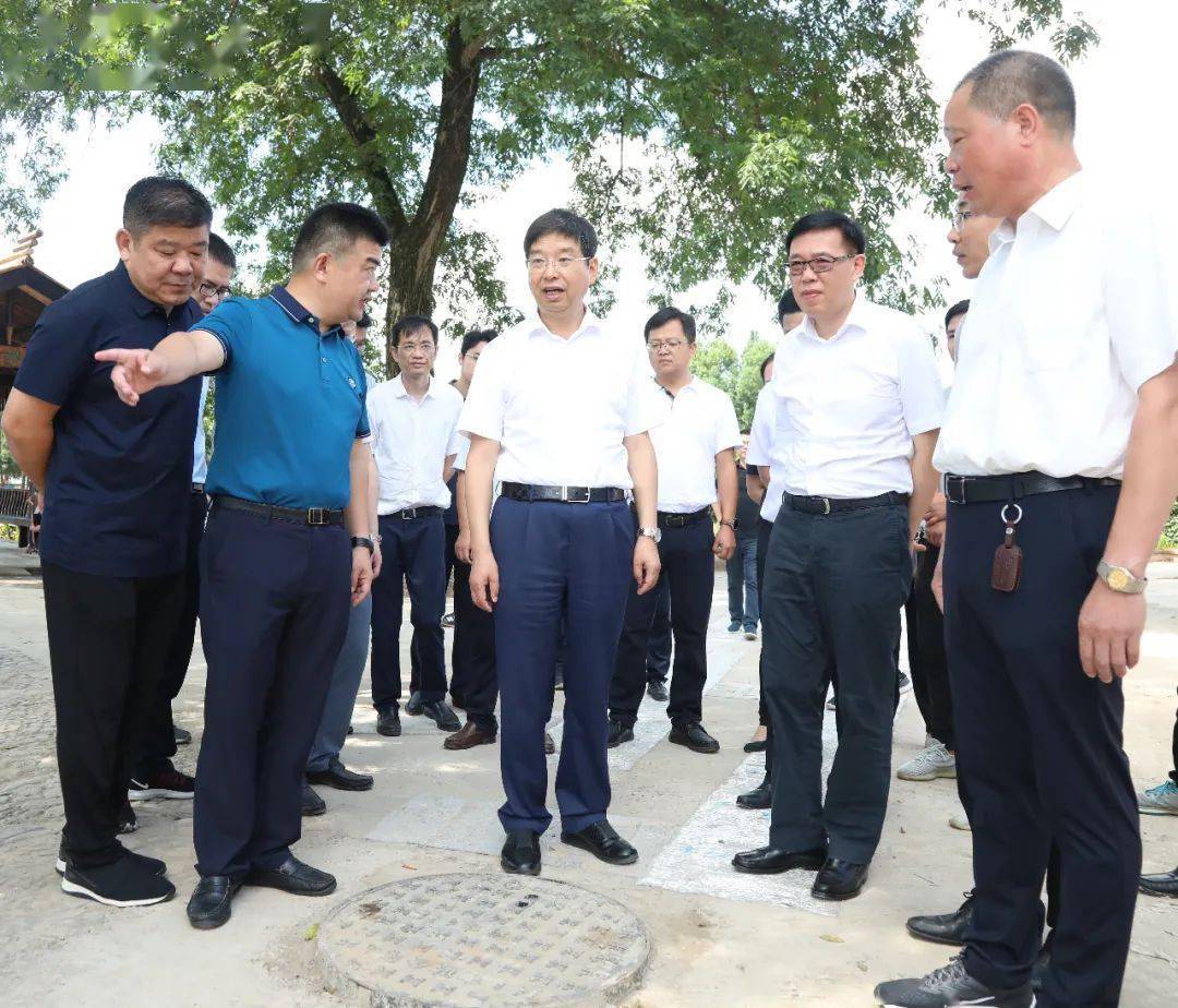 随后,沈建一行实地察看了位于湖13镇张阳村白马自