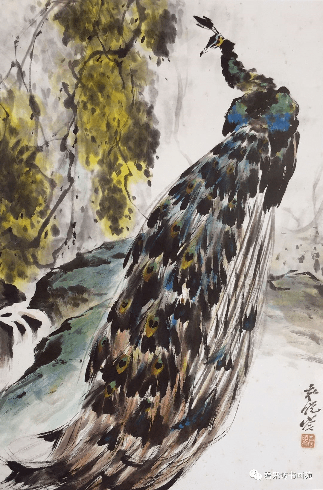 七彩云霓织锦绣袁晓岑先生的写意花鸟之路