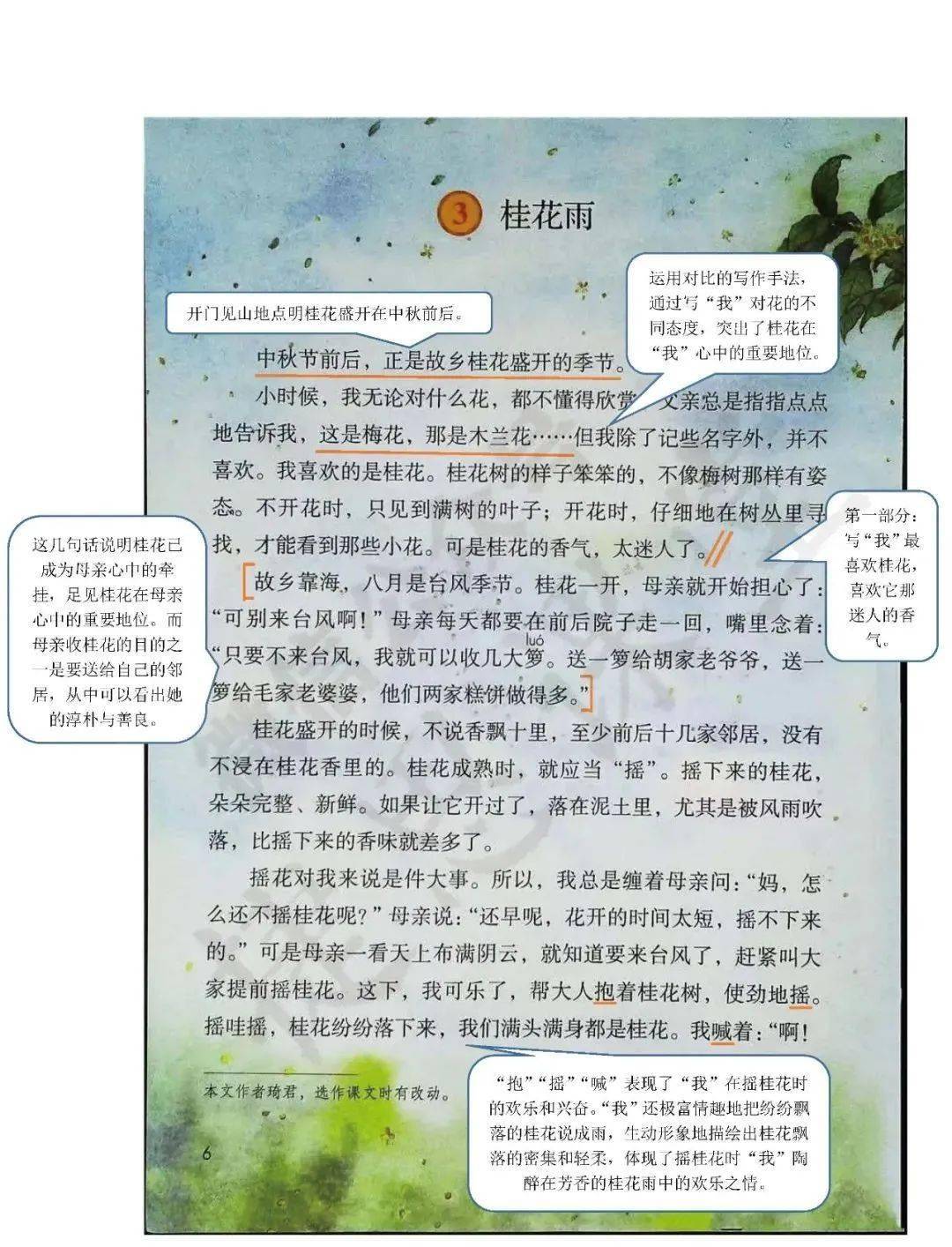 五年级语文上册第3课《桂花雨》课堂笔记200903