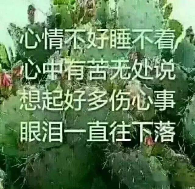 适合心情不好时发朋友圈的句子总有一句适合你