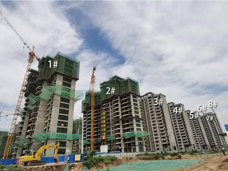 橄榄绿洲和雅工程进度播报秋意浓浓家音共鉴美好