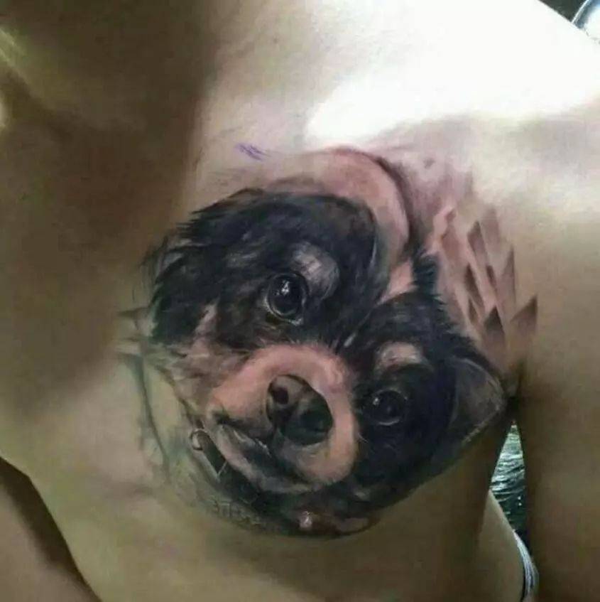 ‘xiongmao体育’
这纹身 算是白纹了 (图17)