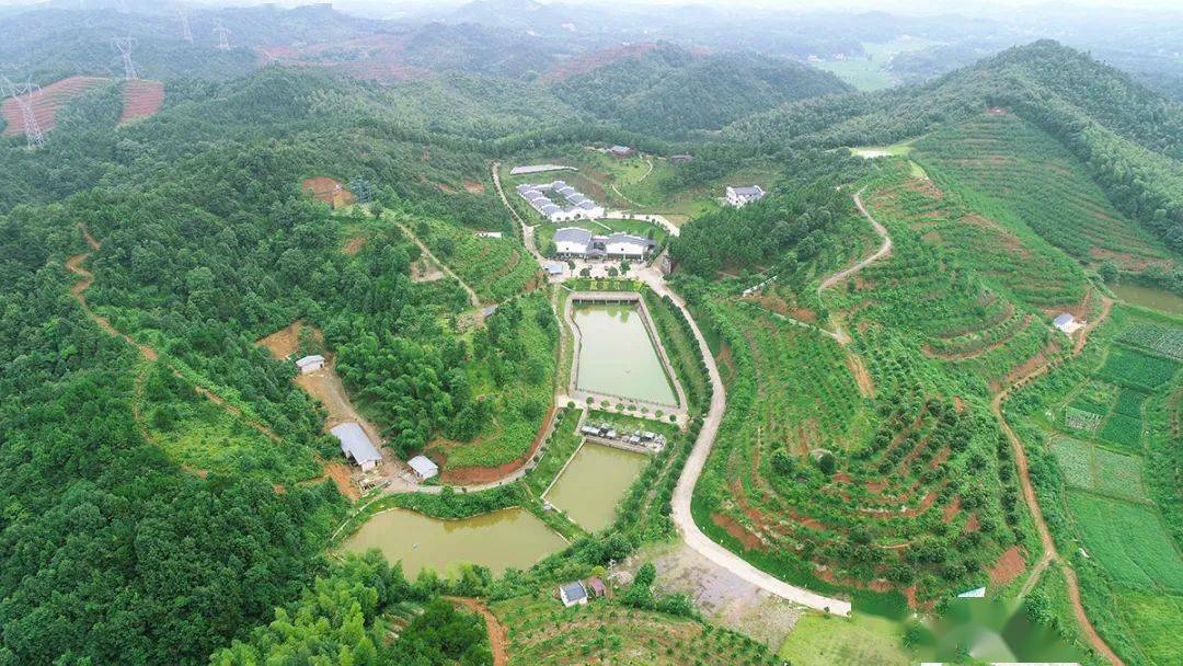 华亿庄园诚募合作伙伴