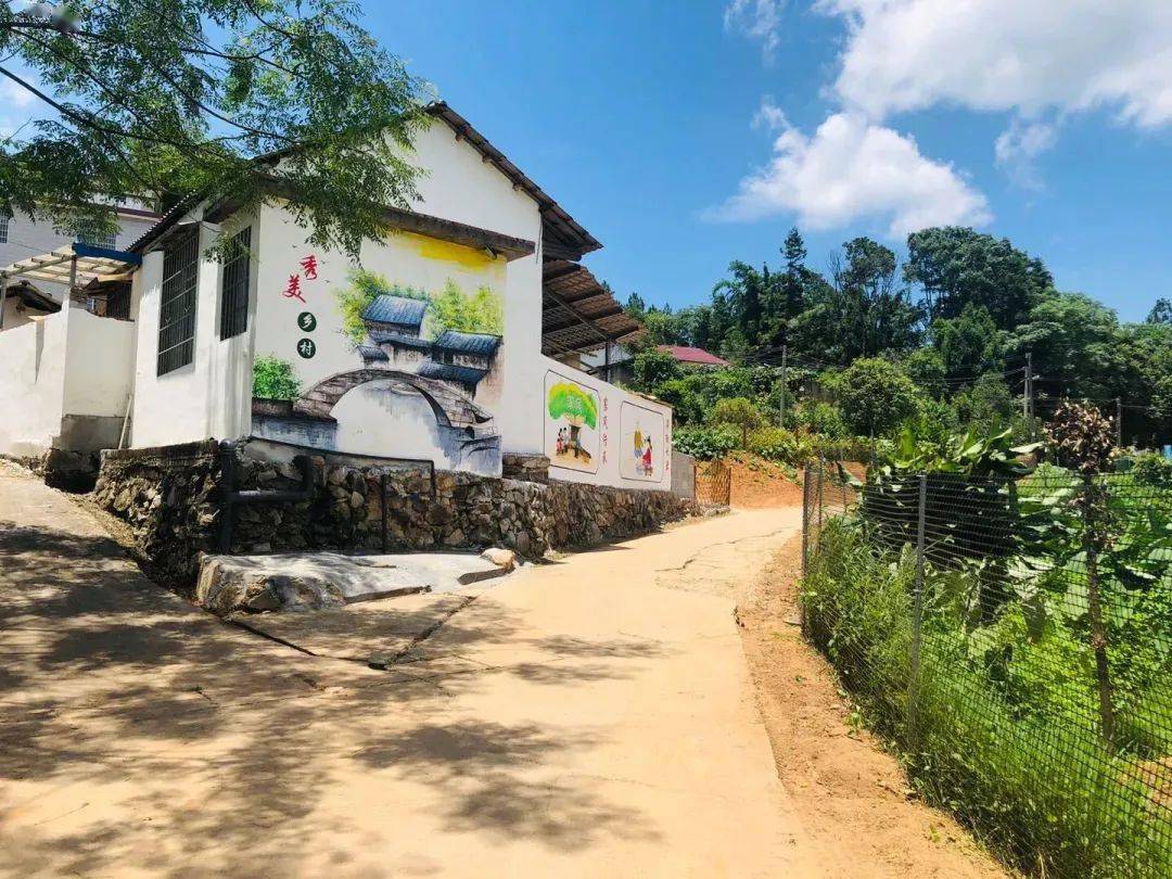 大余县南安镇新余村,目之所及,农舍错落有致,产业兴旺发达,日子红红