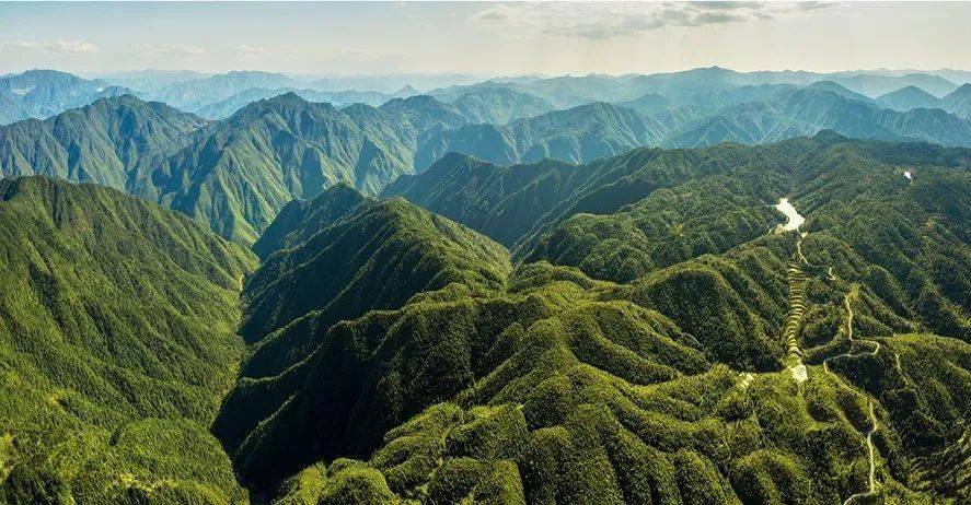 百山祖国家公园绿水青山歌自然之自然之光