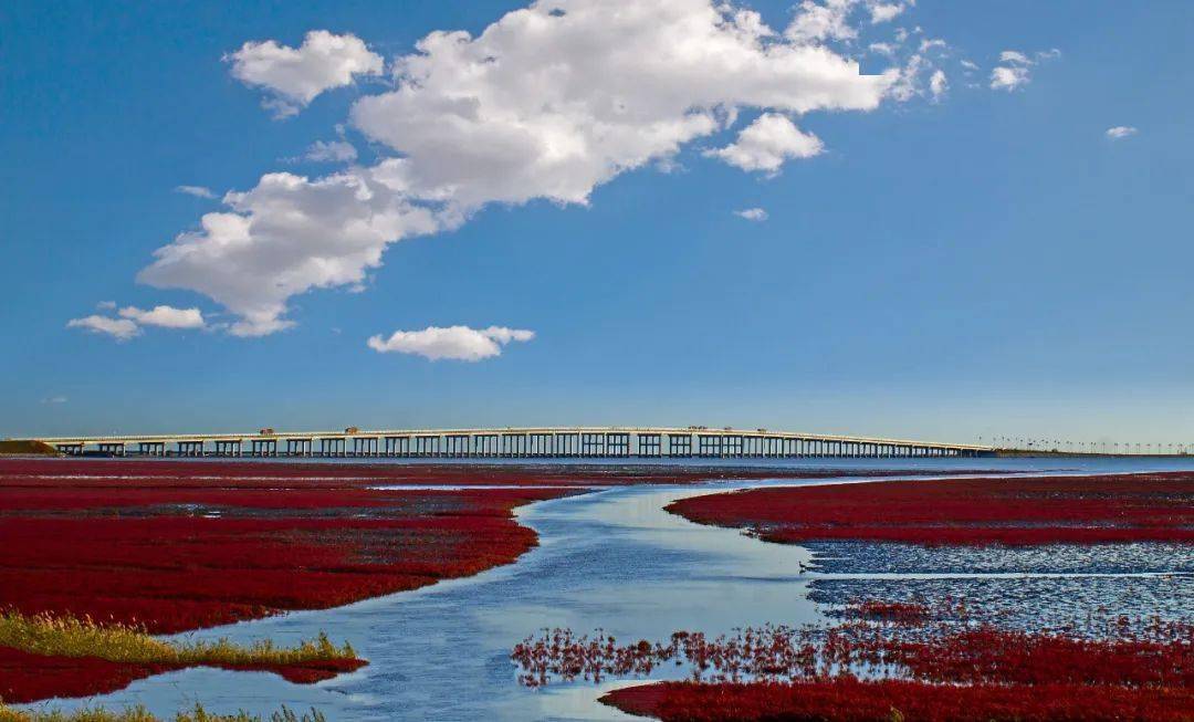 2020相聚美丽凌海携手共创未来