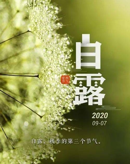 秋露白如玉团团下翠庭