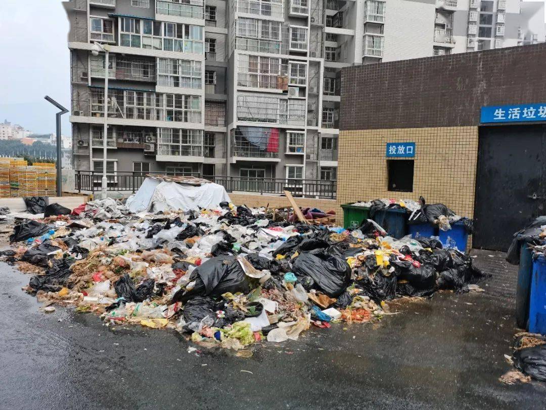 小区门口垃圾堆积成山味道刺鼻业主们满腹牢骚