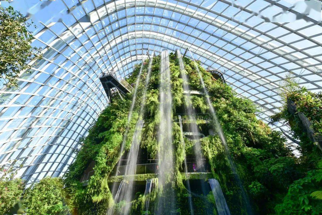 一花一世界全球最受欢迎的温室花园盘点