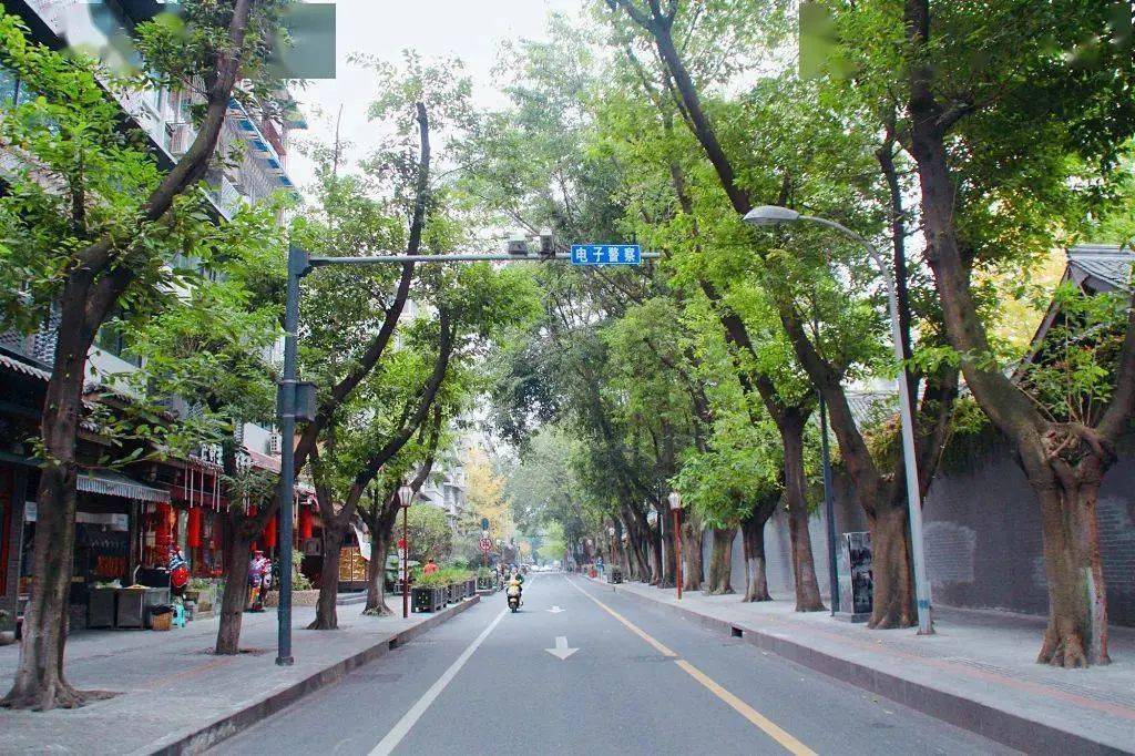 成都300年桂花巷变得"徒有其名"?去老街走走吧