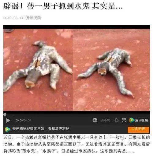 中国水猴子演变简史