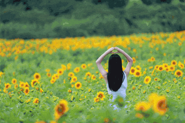 639_426gif 动态图 动图