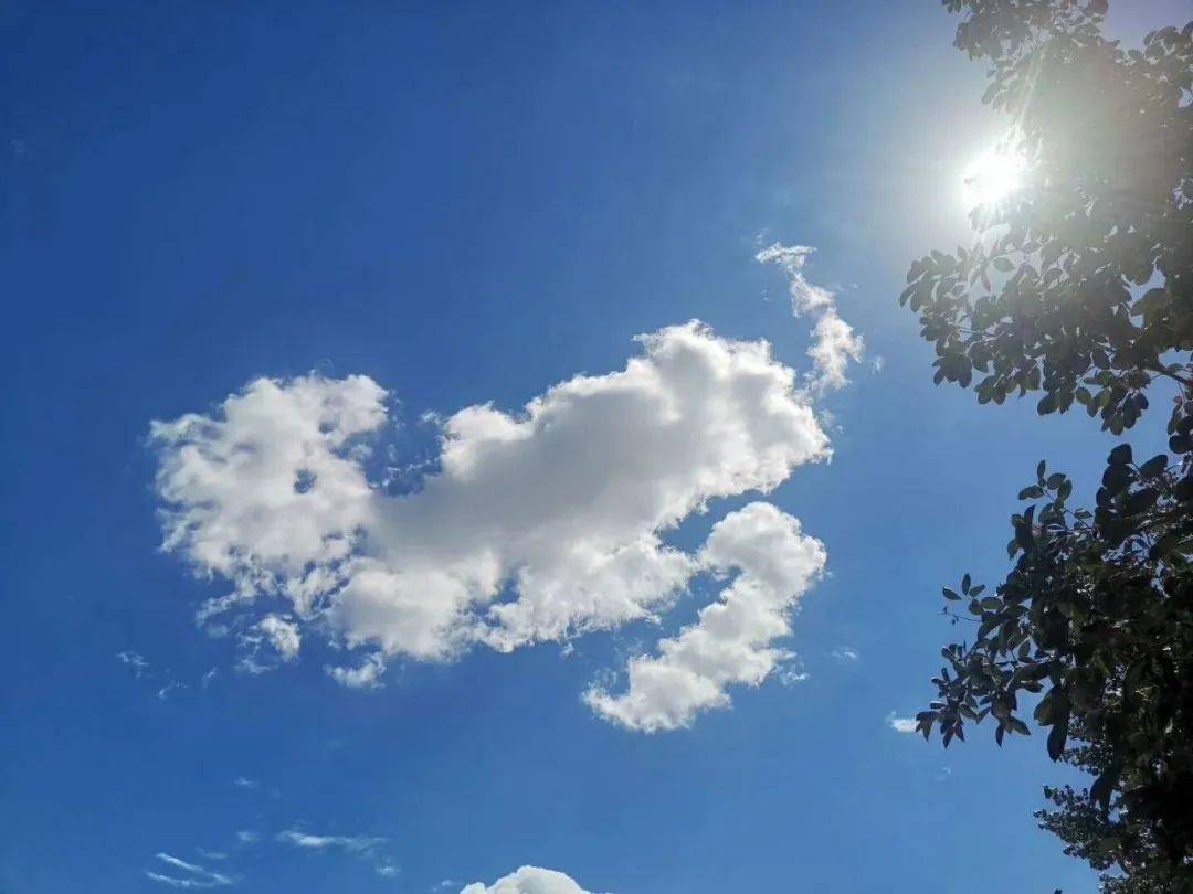 霸州上空出現大量棉花糖朋友圈都被刷屏了大風雷陣雨小雨也要來了